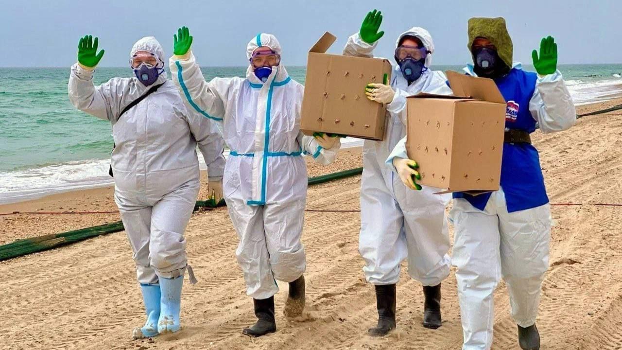 Более 80 пляжей Анапы получили разрешительные документы на открытие пляжного сезона